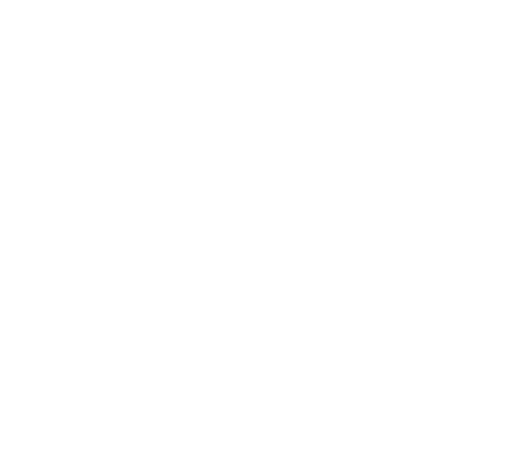 لوگوی آموزشگاه بازیگری امین حیایی